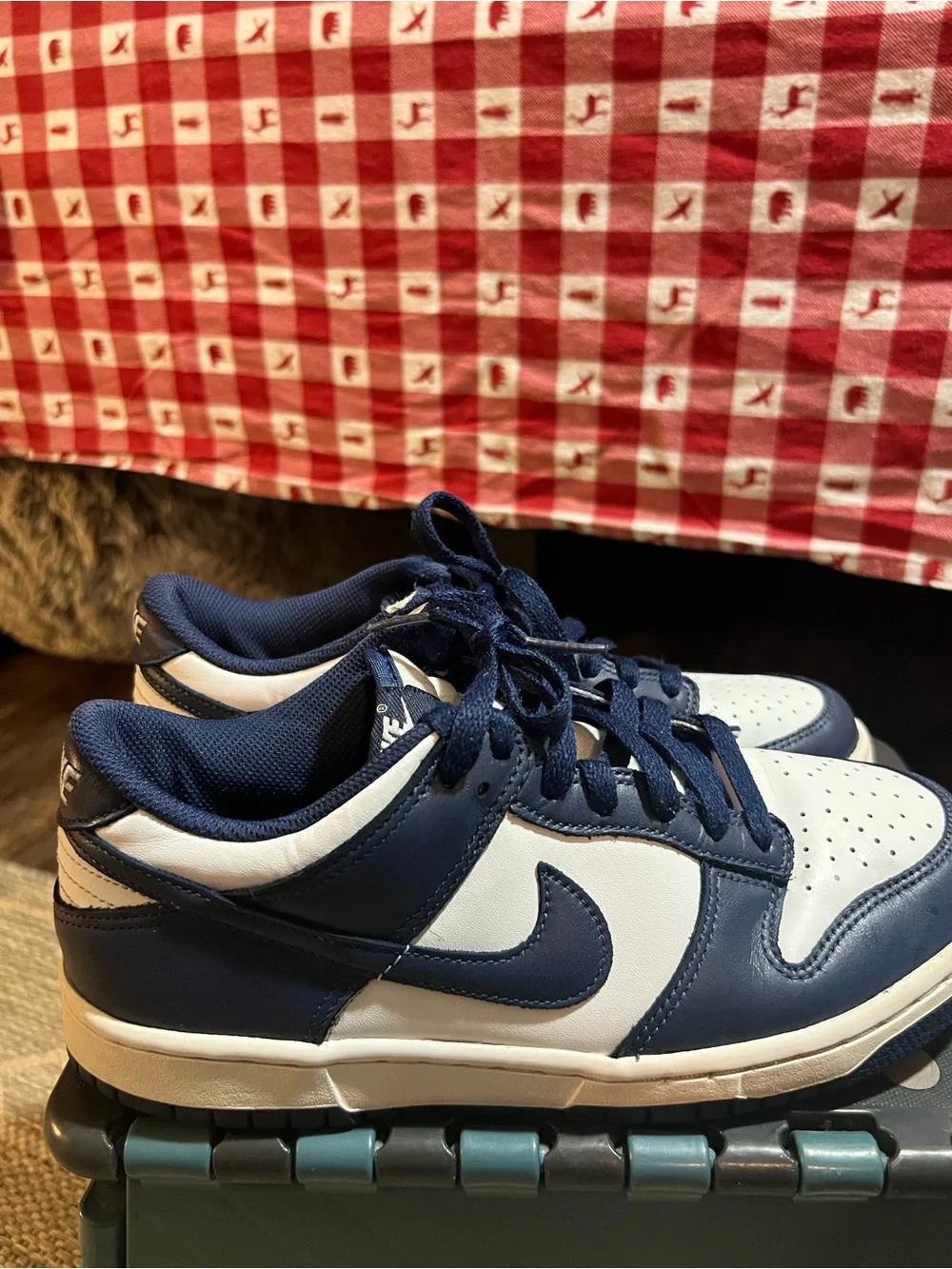 Nike Kids Dunk Navy and white Low- top sneakers.